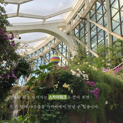 게시물 내 사진