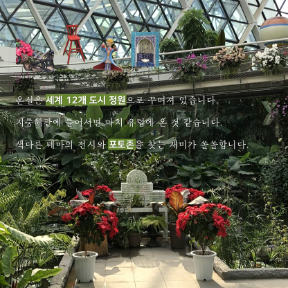 게시물 내 사진