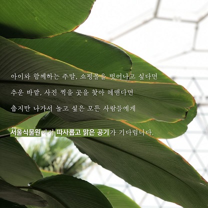게시물 내 사진