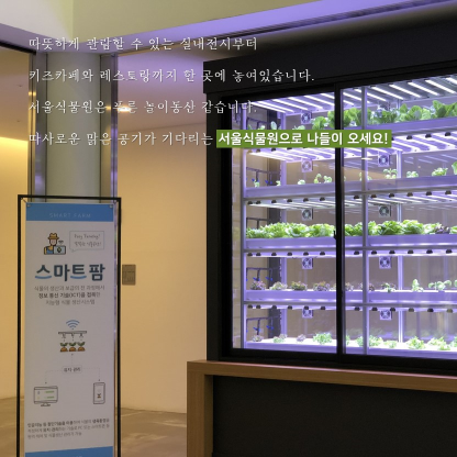 게시물 내 사진