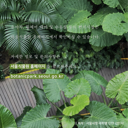 게시물 내 사진
