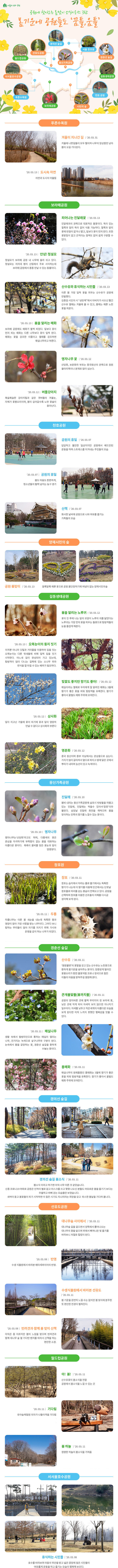 게시물 내 사진
