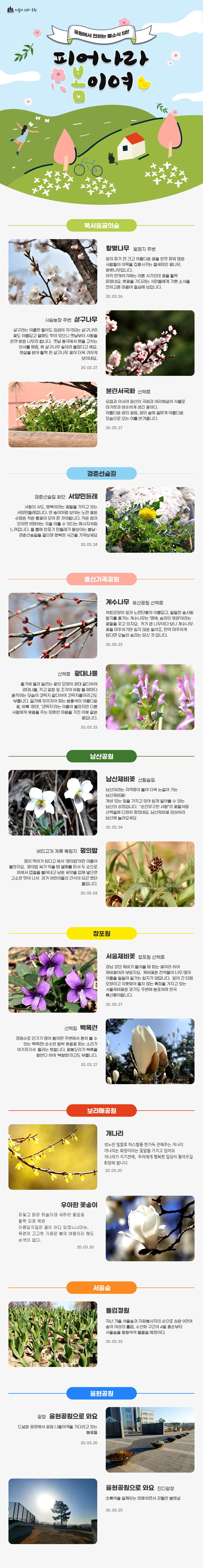 게시물 내 사진