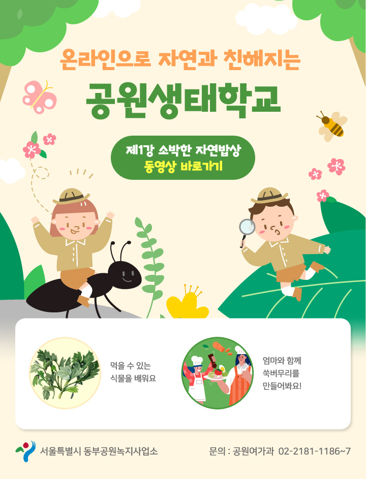 게시물 내 사진