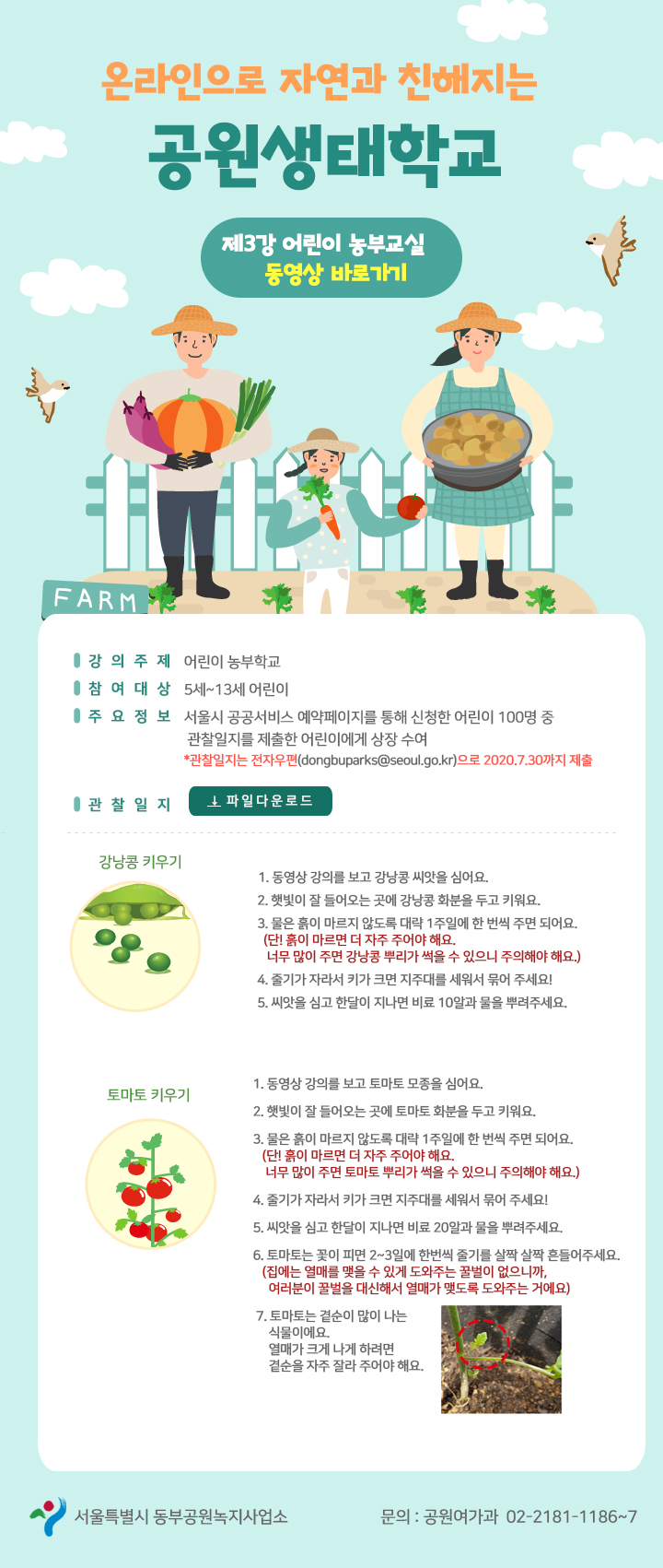 게시물 내 사진