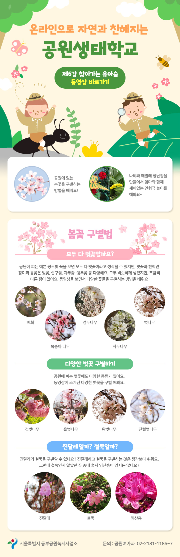 게시물 내 사진