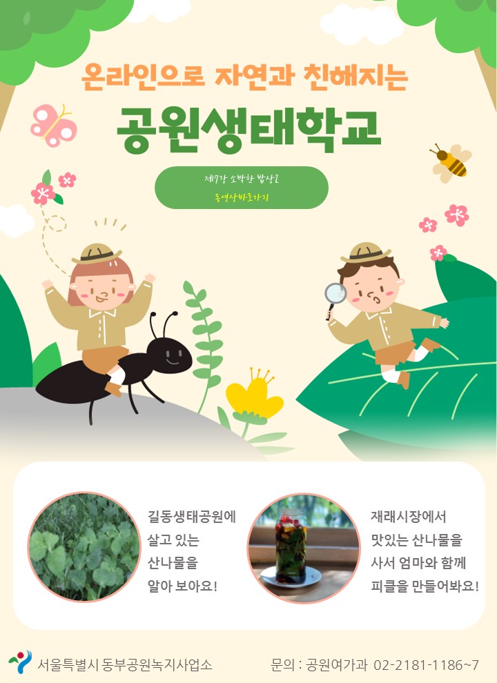 게시물 내 사진