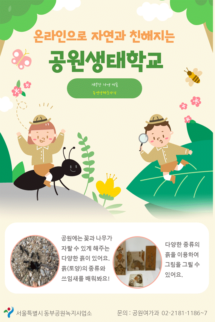 게시물 내 사진