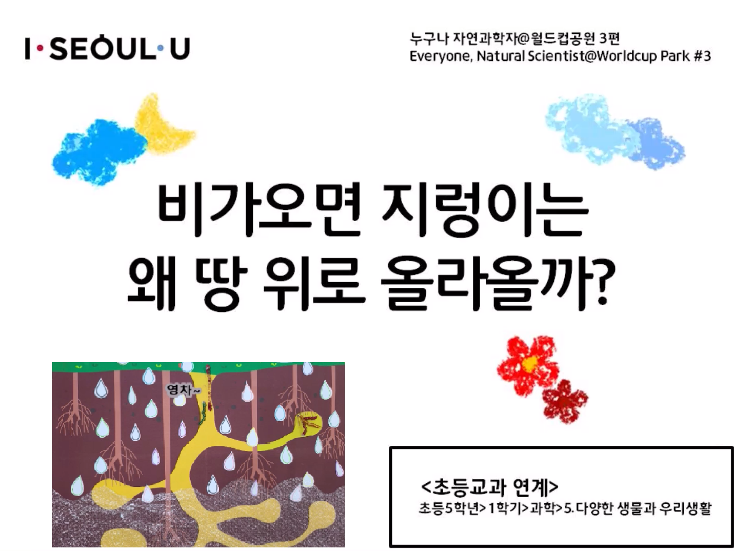 게시물 내 사진
