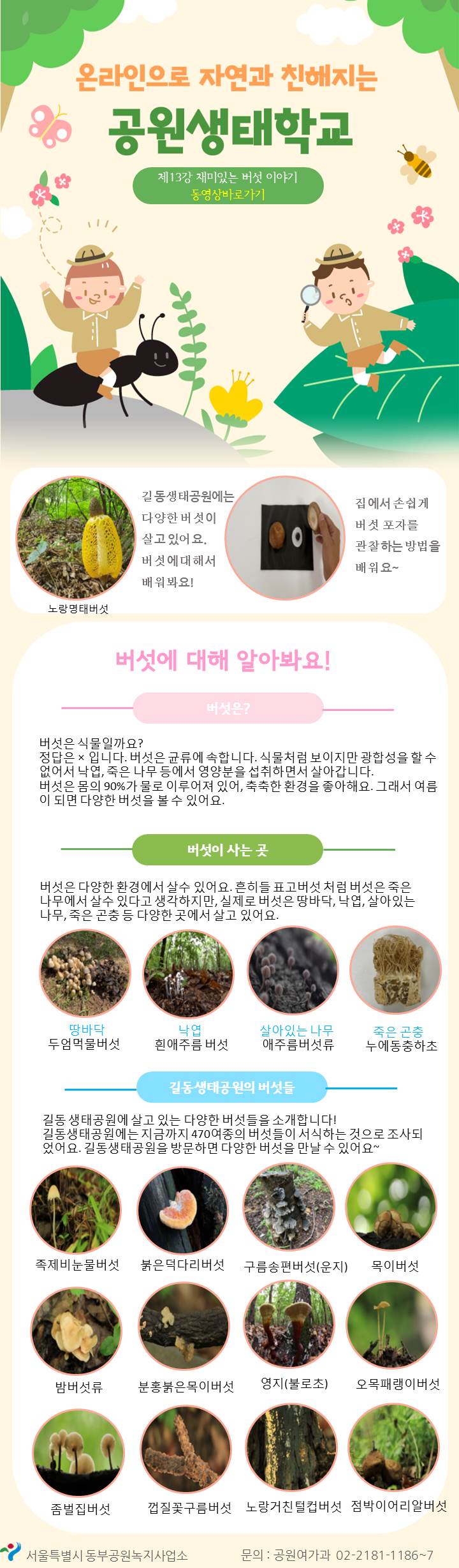 게시물 내 사진