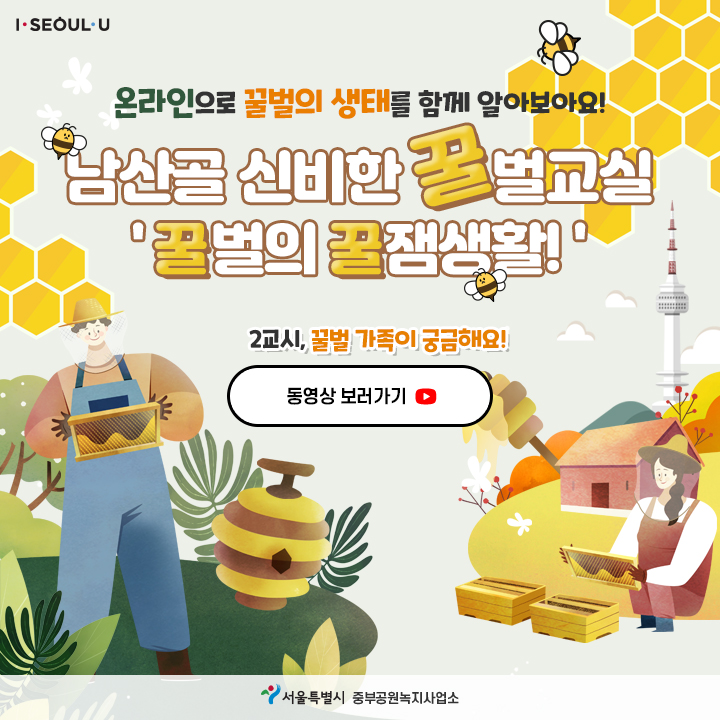 게시물 내 사진