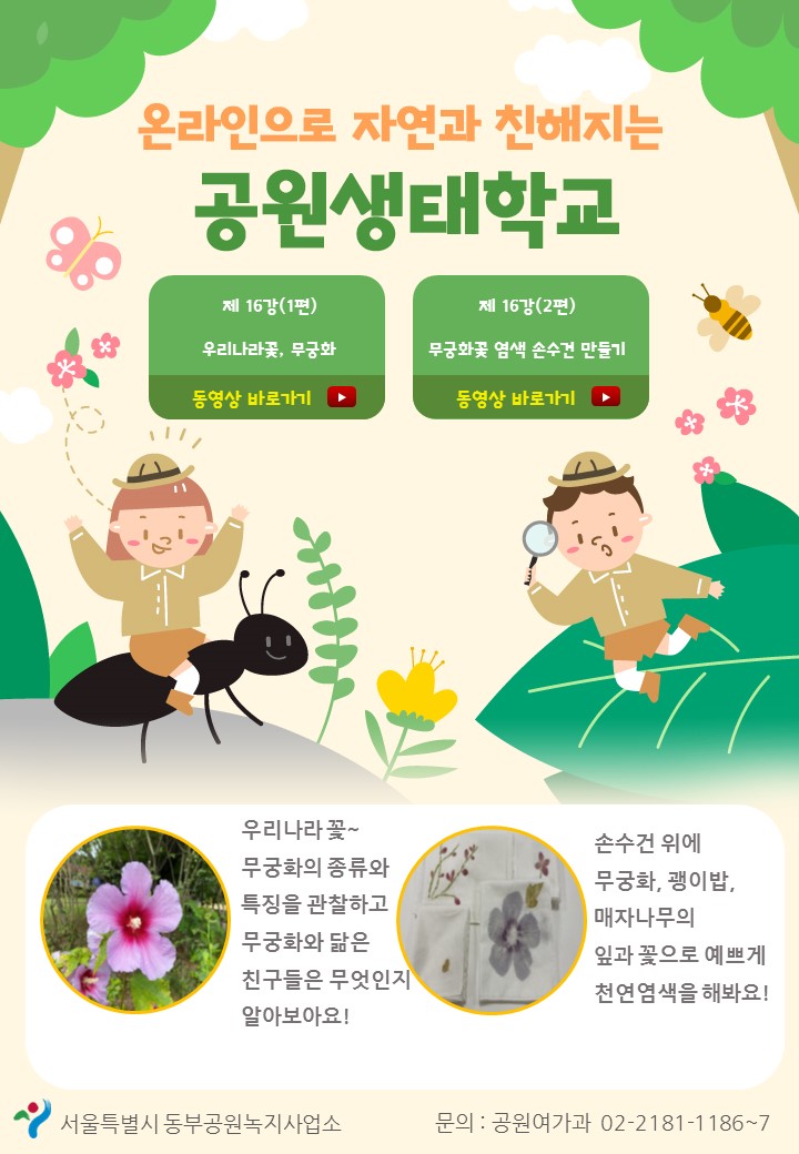 게시물 내 사진