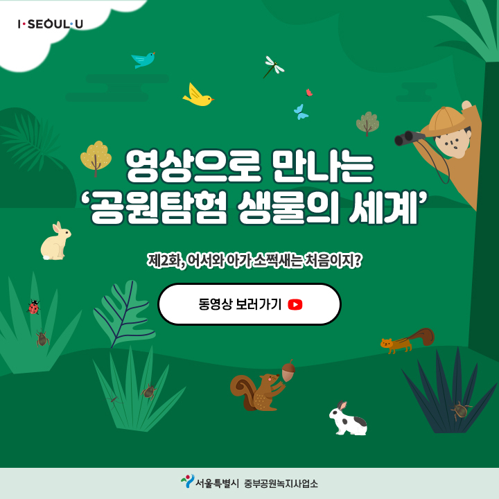 게시물 내 사진
