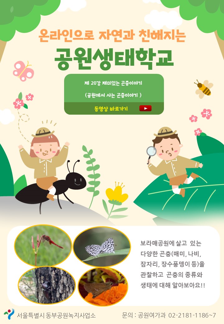 게시물 내 사진