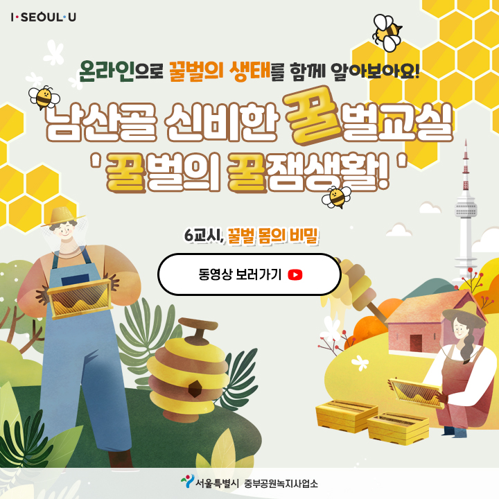 게시물 내 사진