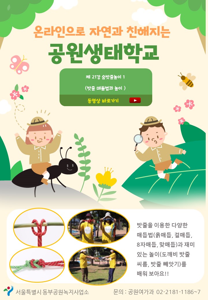 게시물 내 사진