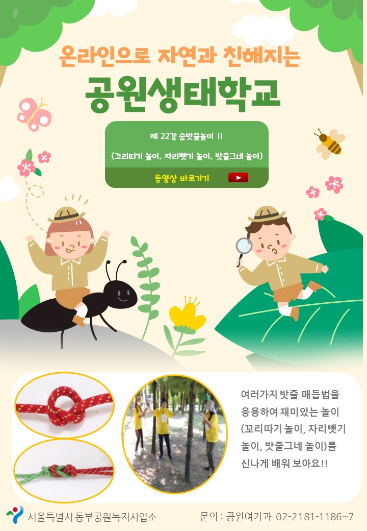 게시물 내 사진