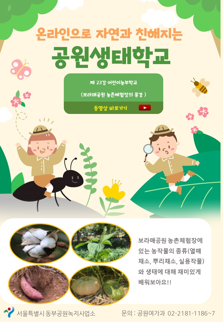 게시물 내 사진