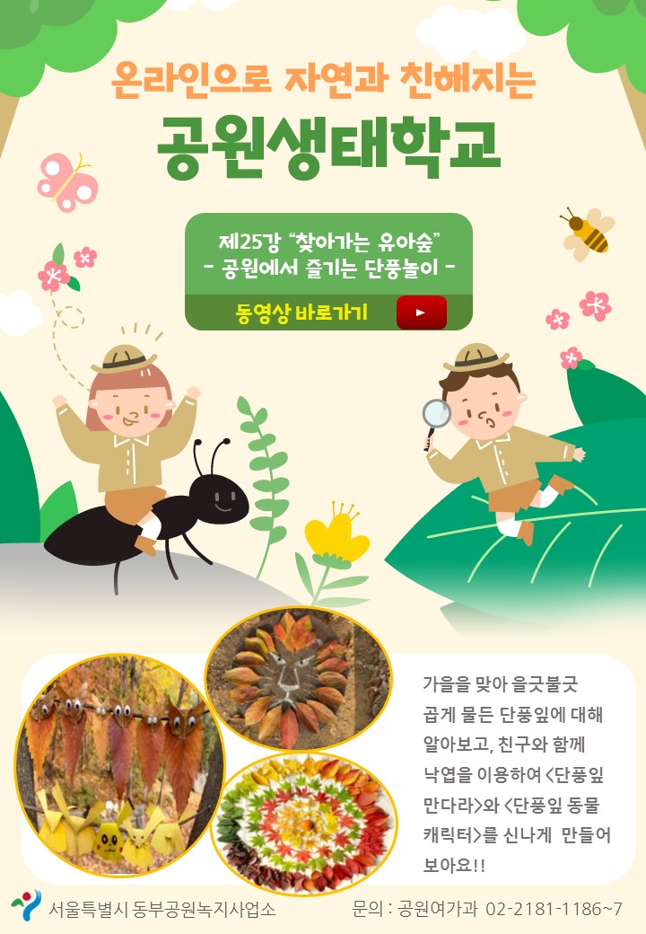 게시물 내 사진