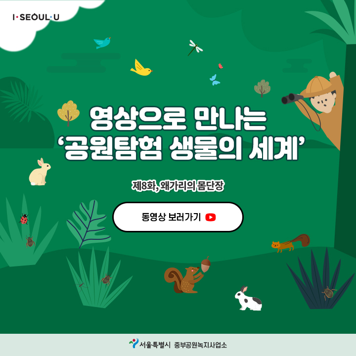 게시물 내 사진