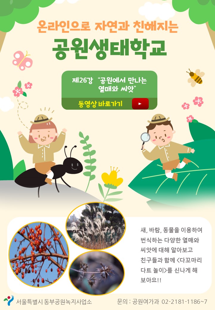 게시물 내 사진