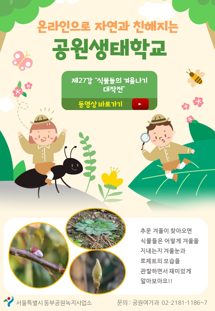 게시물 내 사진