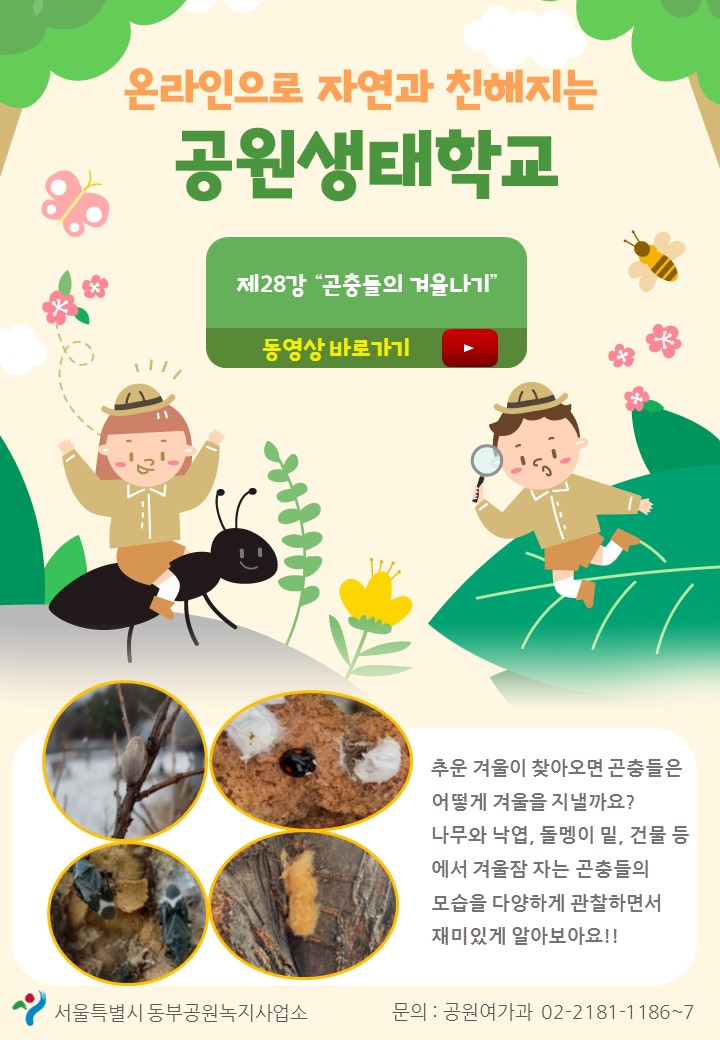 게시물 내 사진