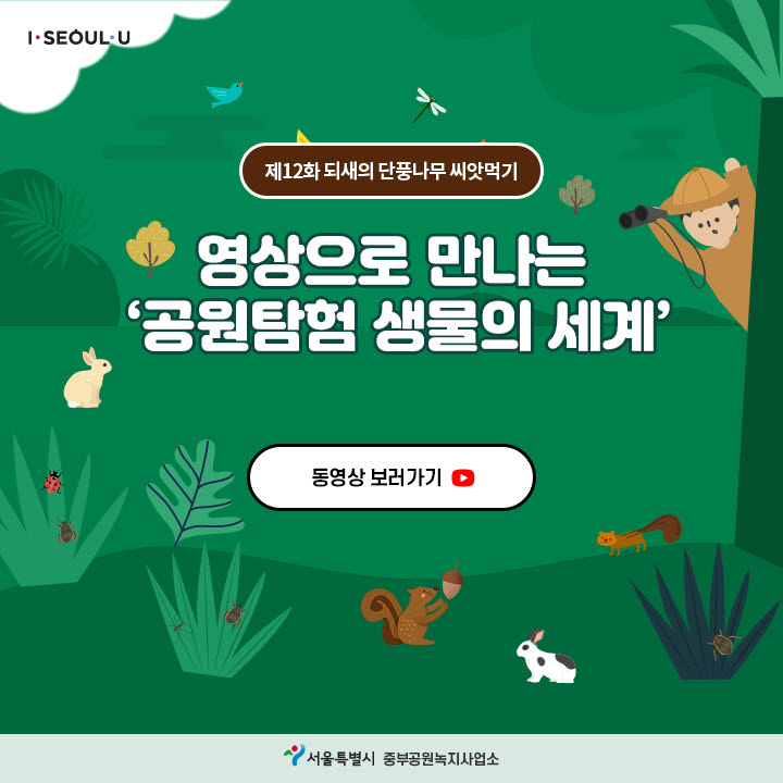게시물 내 사진
