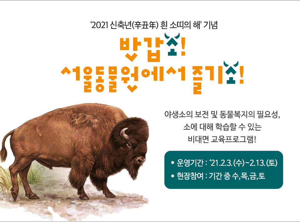 게시물 내 사진