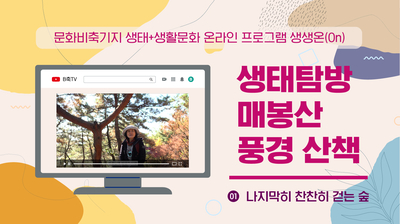 게시물 내 사진