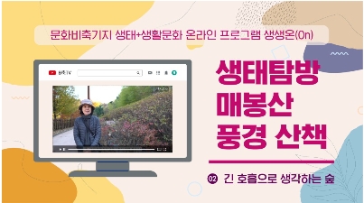 게시물 내 사진