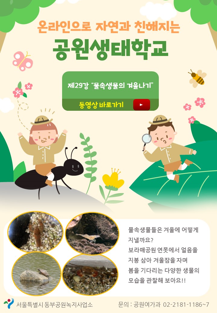 게시물 내 사진