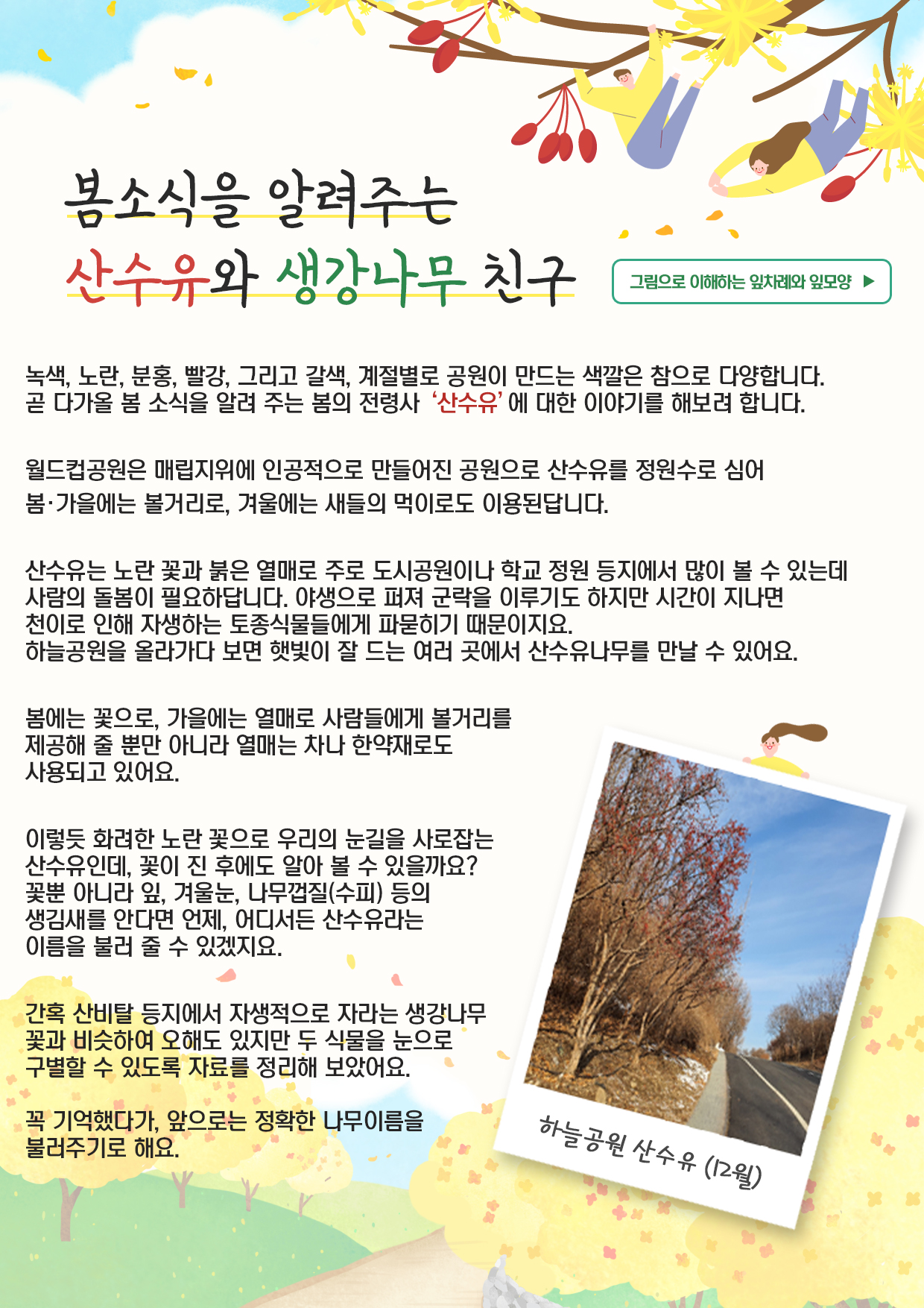 게시물 내 사진
