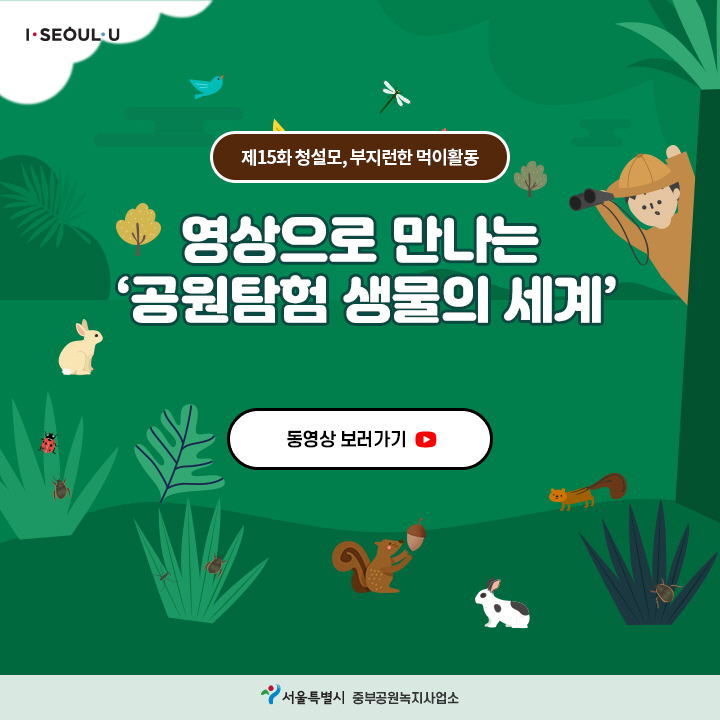 게시물 내 사진