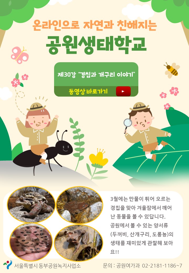 게시물 내 사진