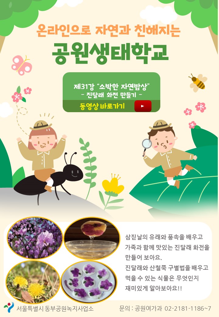 게시물 내 사진