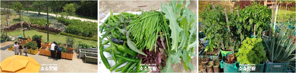 게시물 내 사진