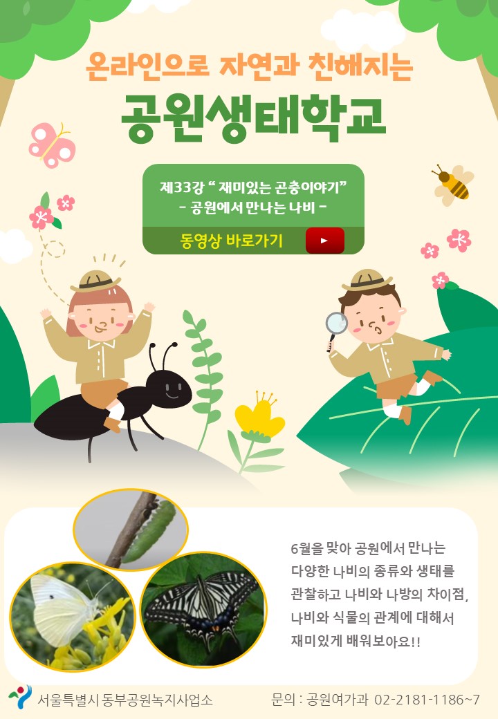 게시물 내 사진