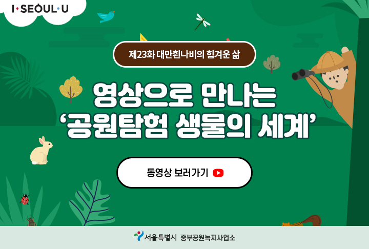 게시물 내 사진