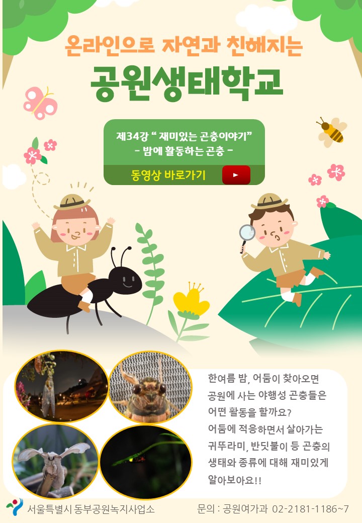 게시물 내 사진
