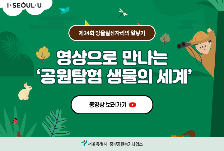게시물 내 사진