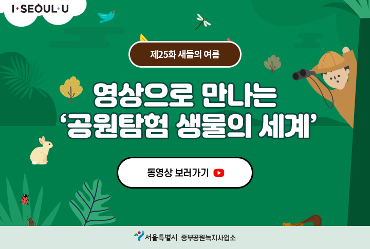 게시물 내 사진