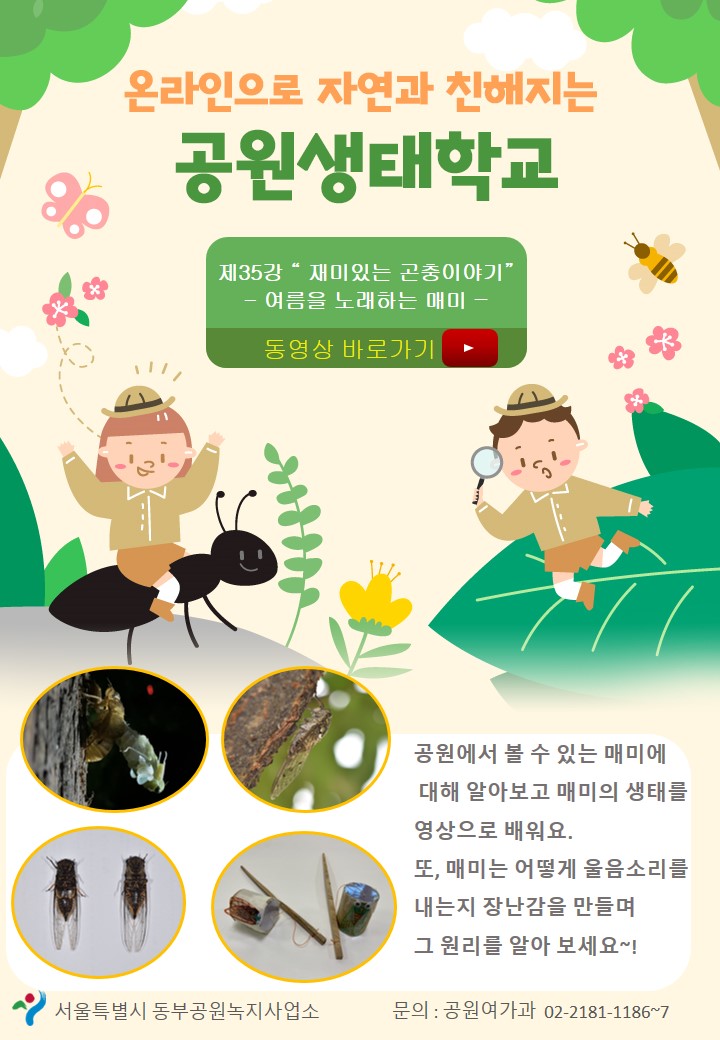 게시물 내 사진