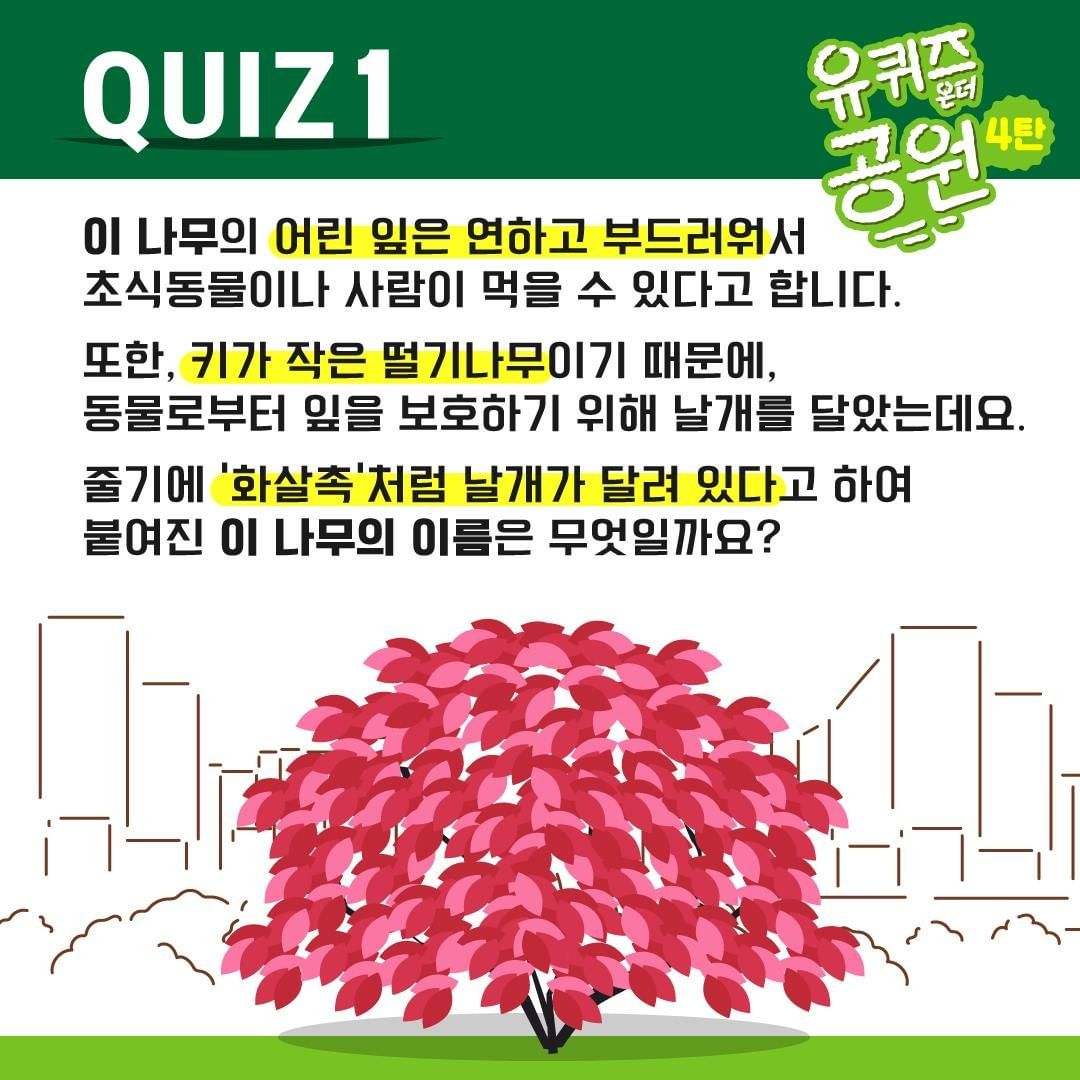 게시물 내 사진