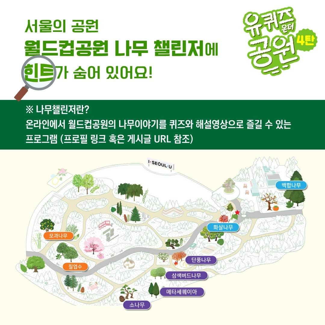 게시물 내 사진