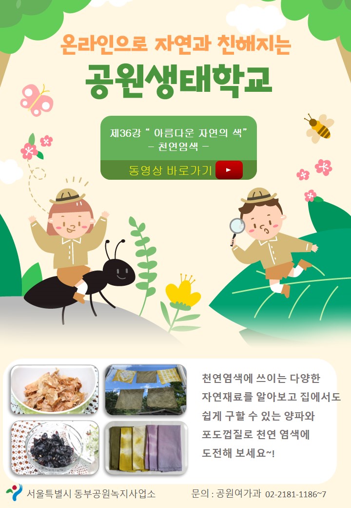 게시물 내 사진