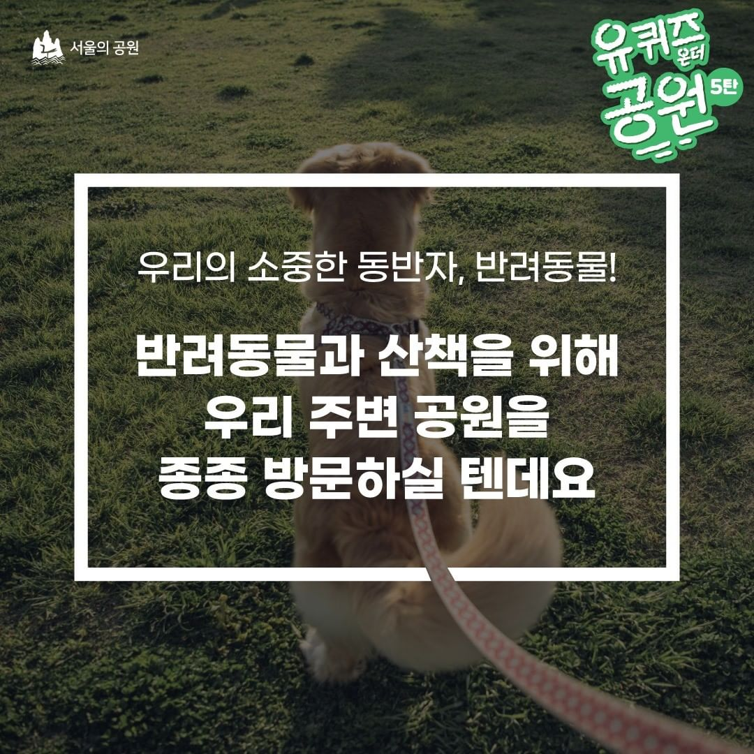 게시물 내 사진
