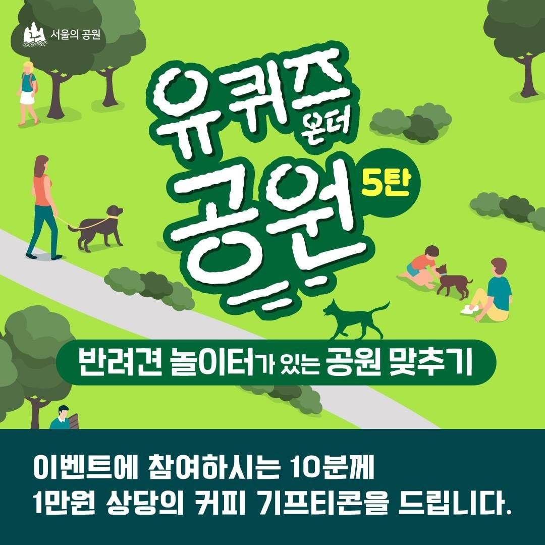 게시물 내 사진