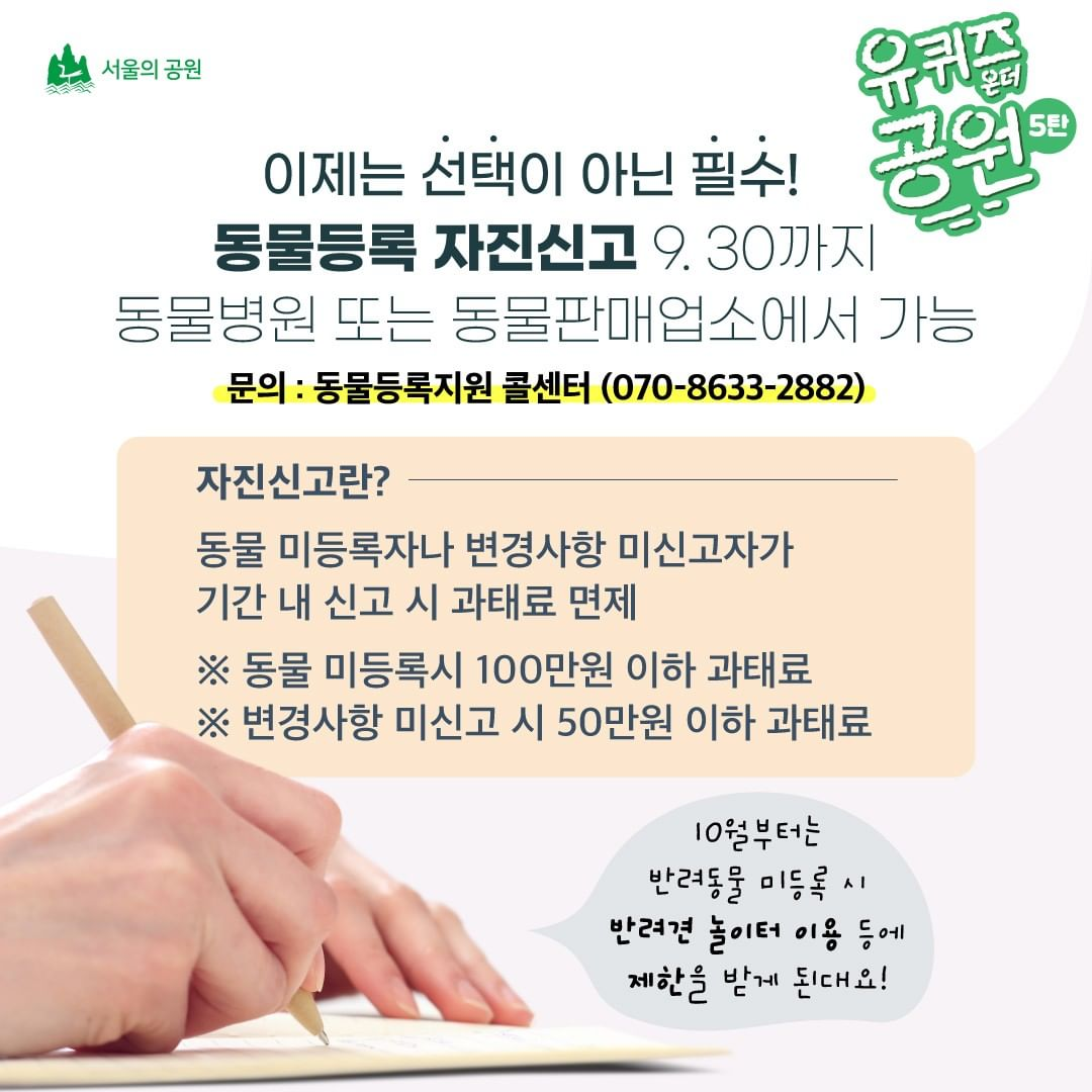 게시물 내 사진