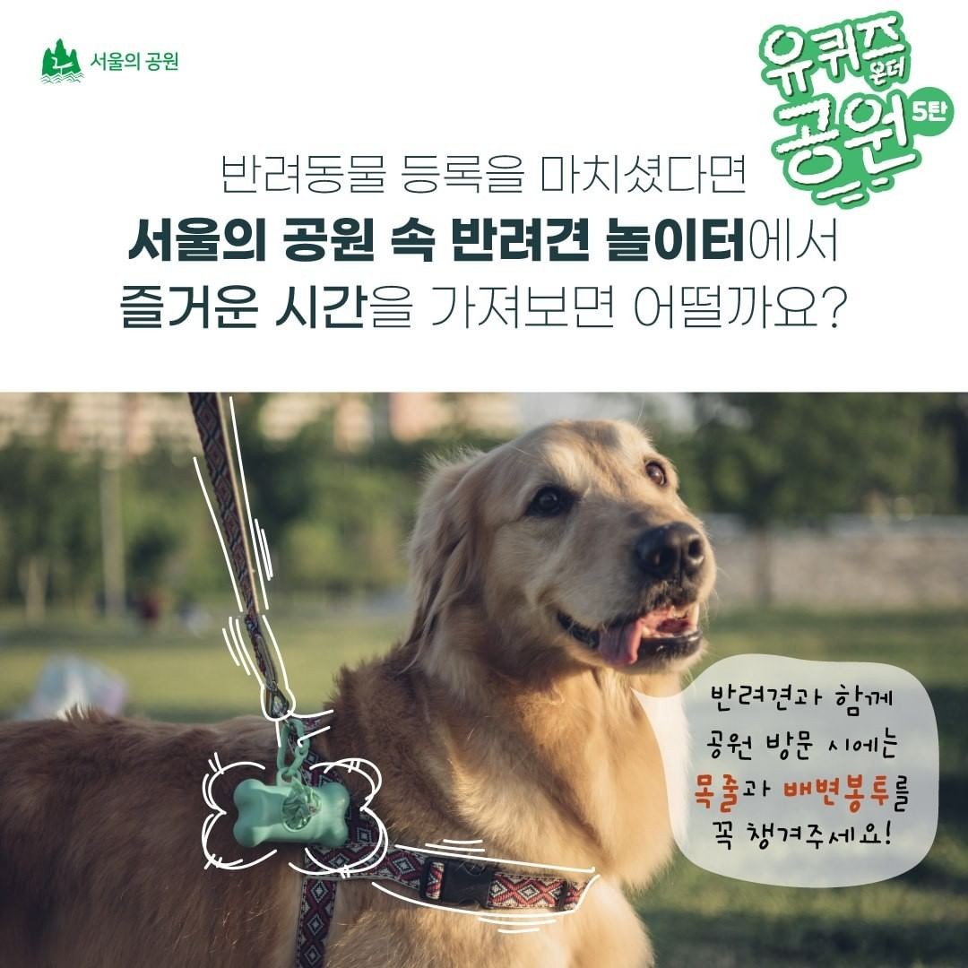 게시물 내 사진